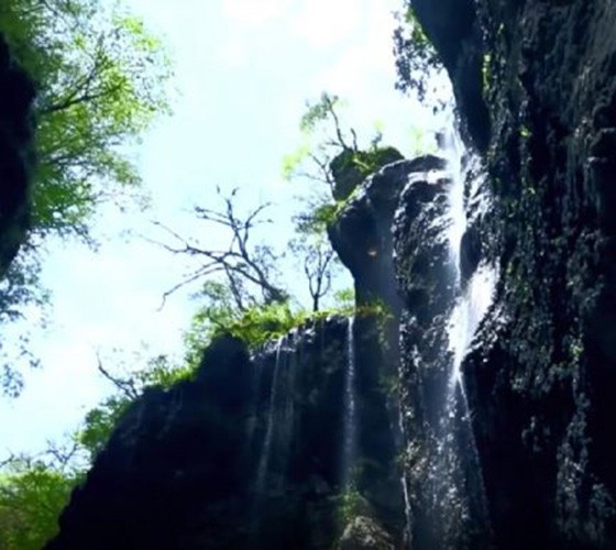 青山綠水，白龍江畔江畔息白鷺，兩岸綠橄欖入眼的都是純樸自然枝上花開(kāi)，春來(lái)水暖魚(yú)蝦戲水，鳥(niǎo)語(yǔ)花香心中充滿(mǎn)著舒暢之感祥宇生態(tài)產(chǎn)業(yè)園，位于隴南市武..
